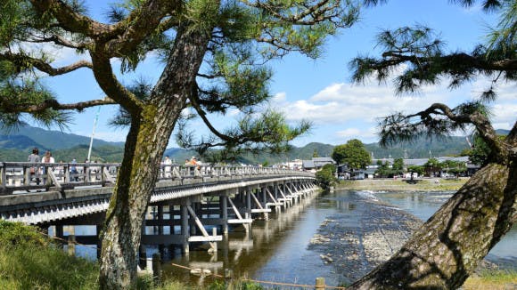 Kyoto Rickshaw Tour: Arashiyama's Lush Riverside